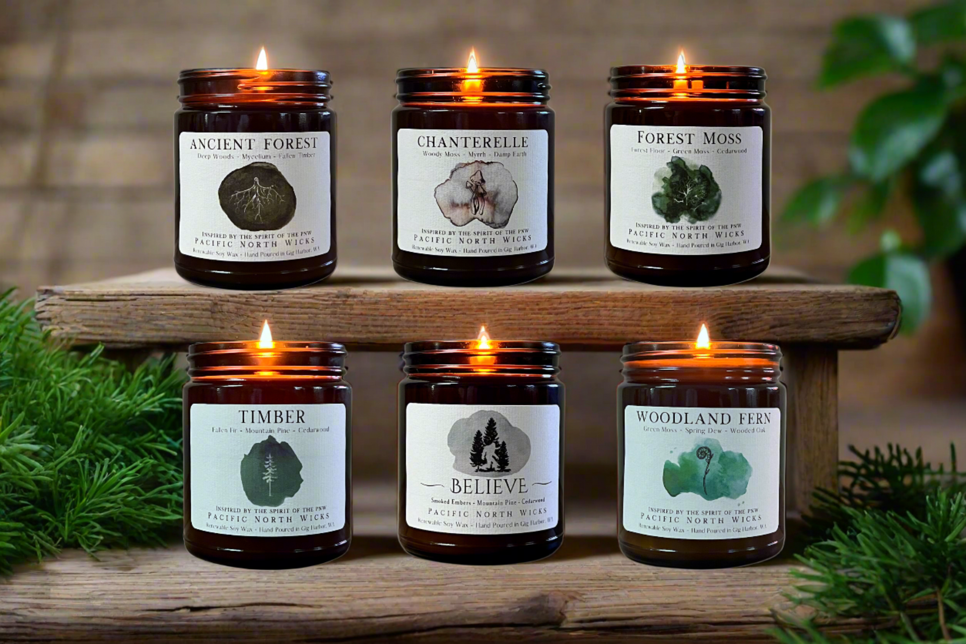 Forest Scented Candles placed on wooden shelf in woodsy cabin setting with greenery and plant decor in background.