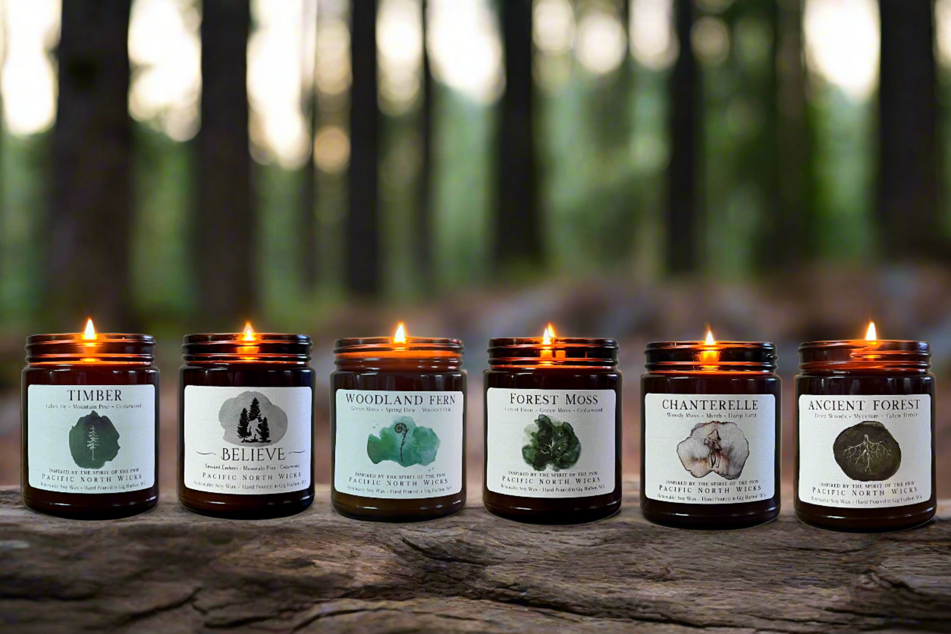 6 Forest Scented Candles in PNW Woodsy setting featuring the following PNW Inspired Scents:
Timber, Sasquatch, Woodland Fern, Forest Moss, Chanterelle, and Ancient Forest.