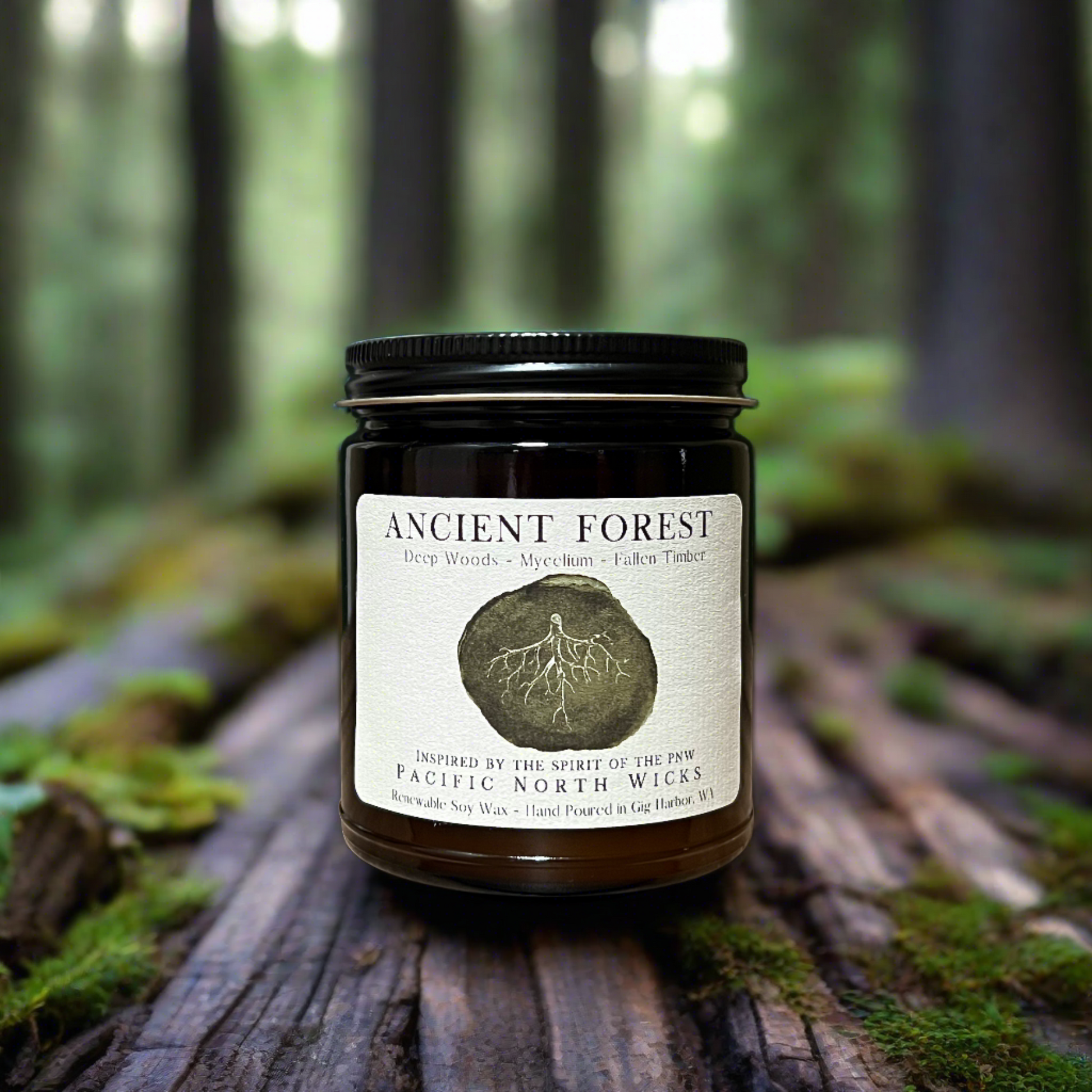 Woodsy scented candle in Pacific Northwest forest with moss covered trees and lush greenery