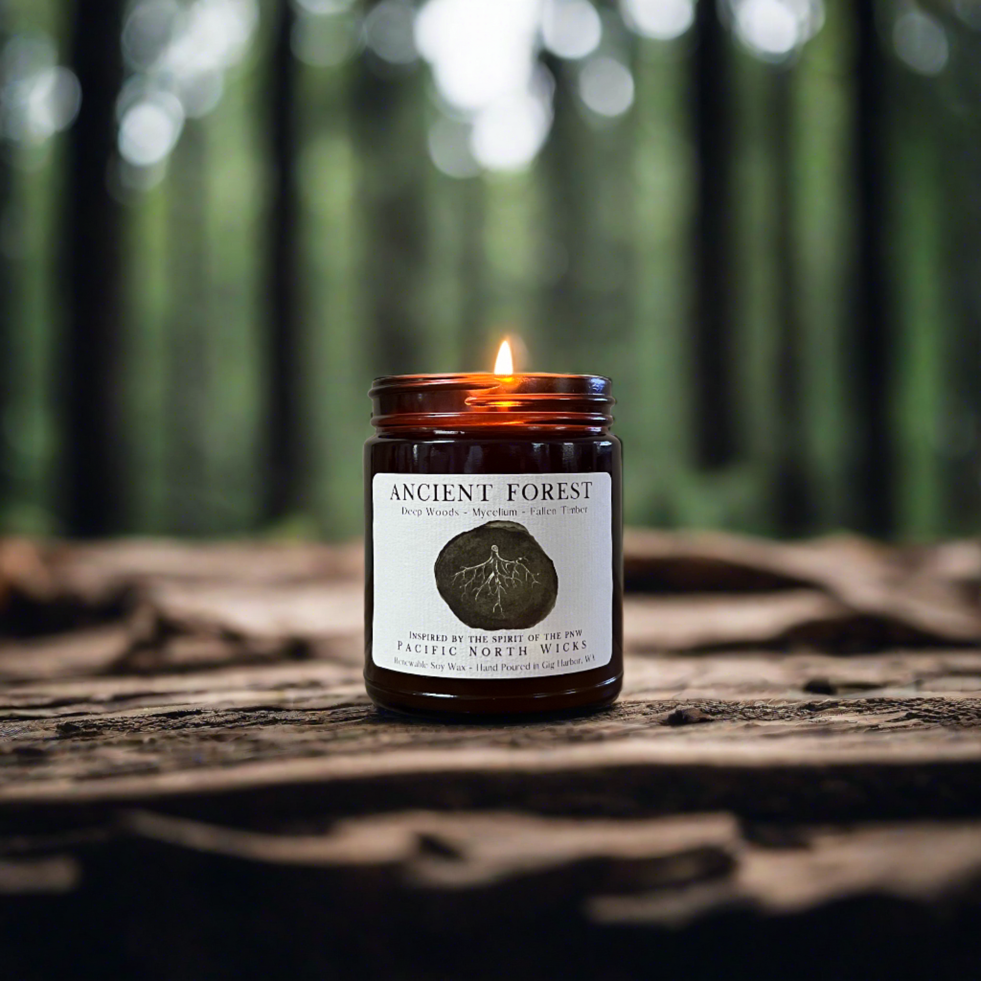 Soy wax candle lit in dark forest setting with old bark creating peaceful ambiance