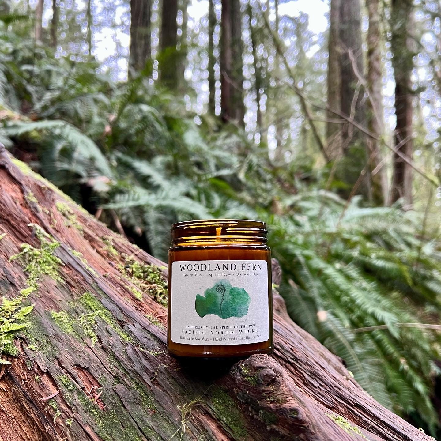 PNW Hike in Old Growth Forest with Green Woodland Fern Candle